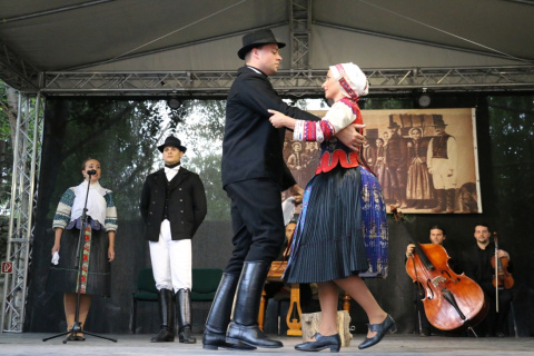 Felföldi levelek - kép