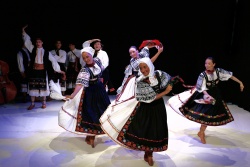 Felföldi levelek - kép