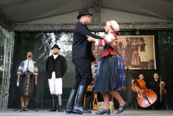 Felföldi levelek - kép