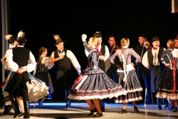 Felföldi levelek - kép